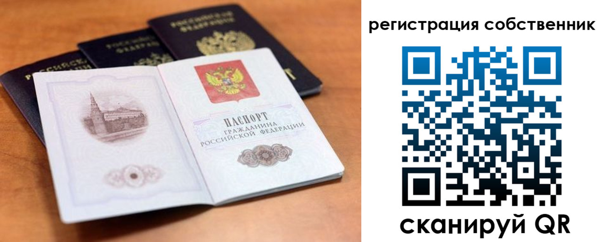 прописка поиск в Электростали